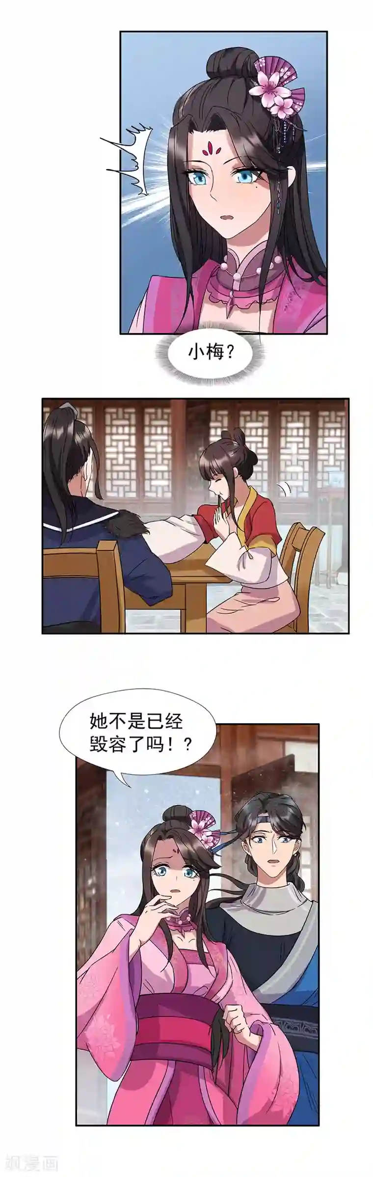 狂女重生：纨绔七皇妃第55话 小梅回府