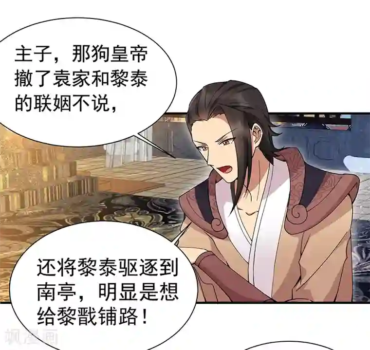 狂女重生：纨绔七皇妃第160话 洛将军