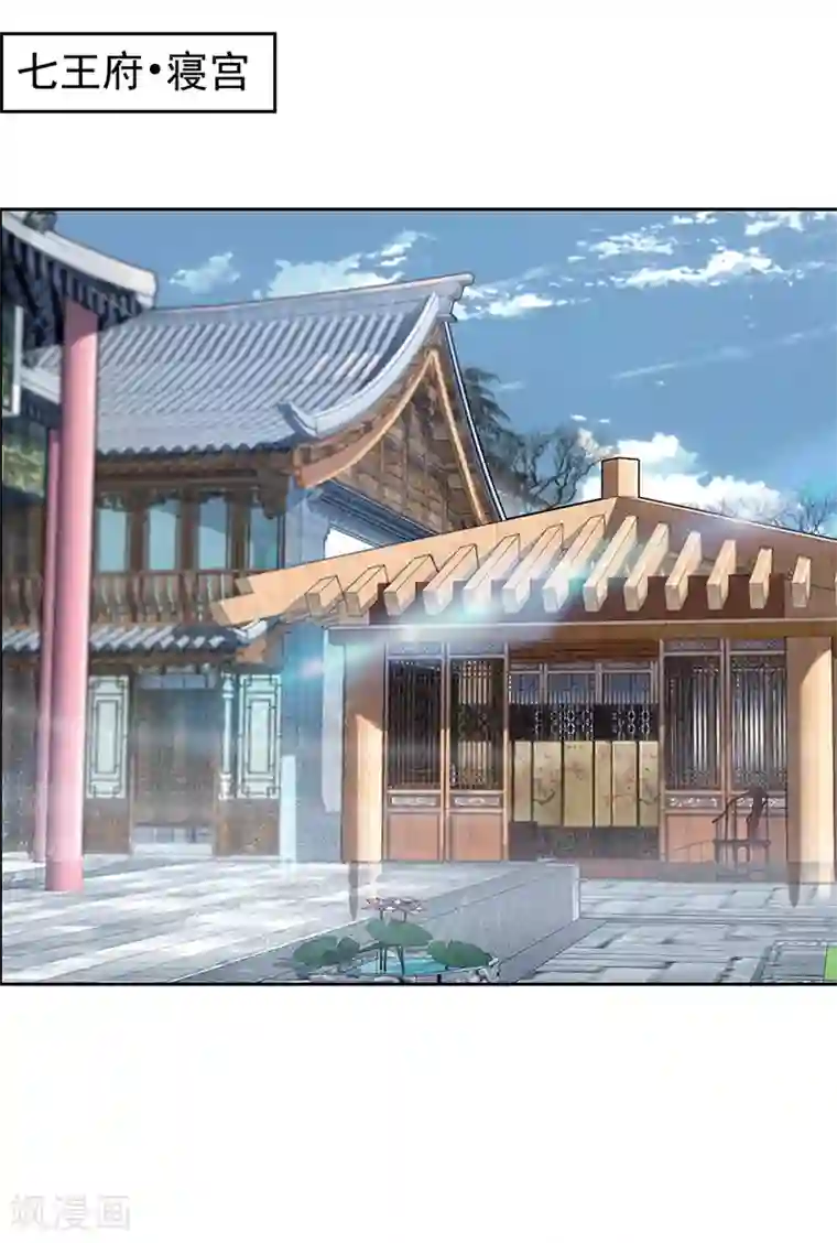 狂女重生：纨绔七皇妃第163话 又见面了