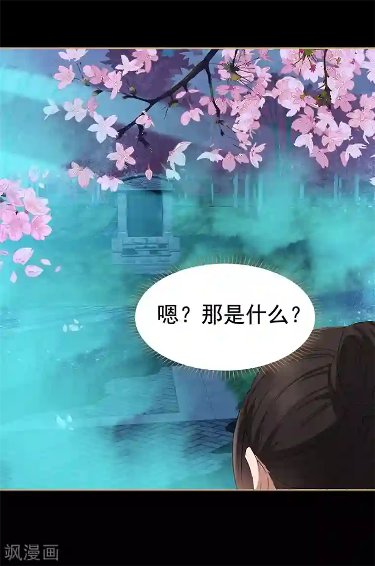 狂女重生：纨绔七皇妃第175话 最后一次效忠