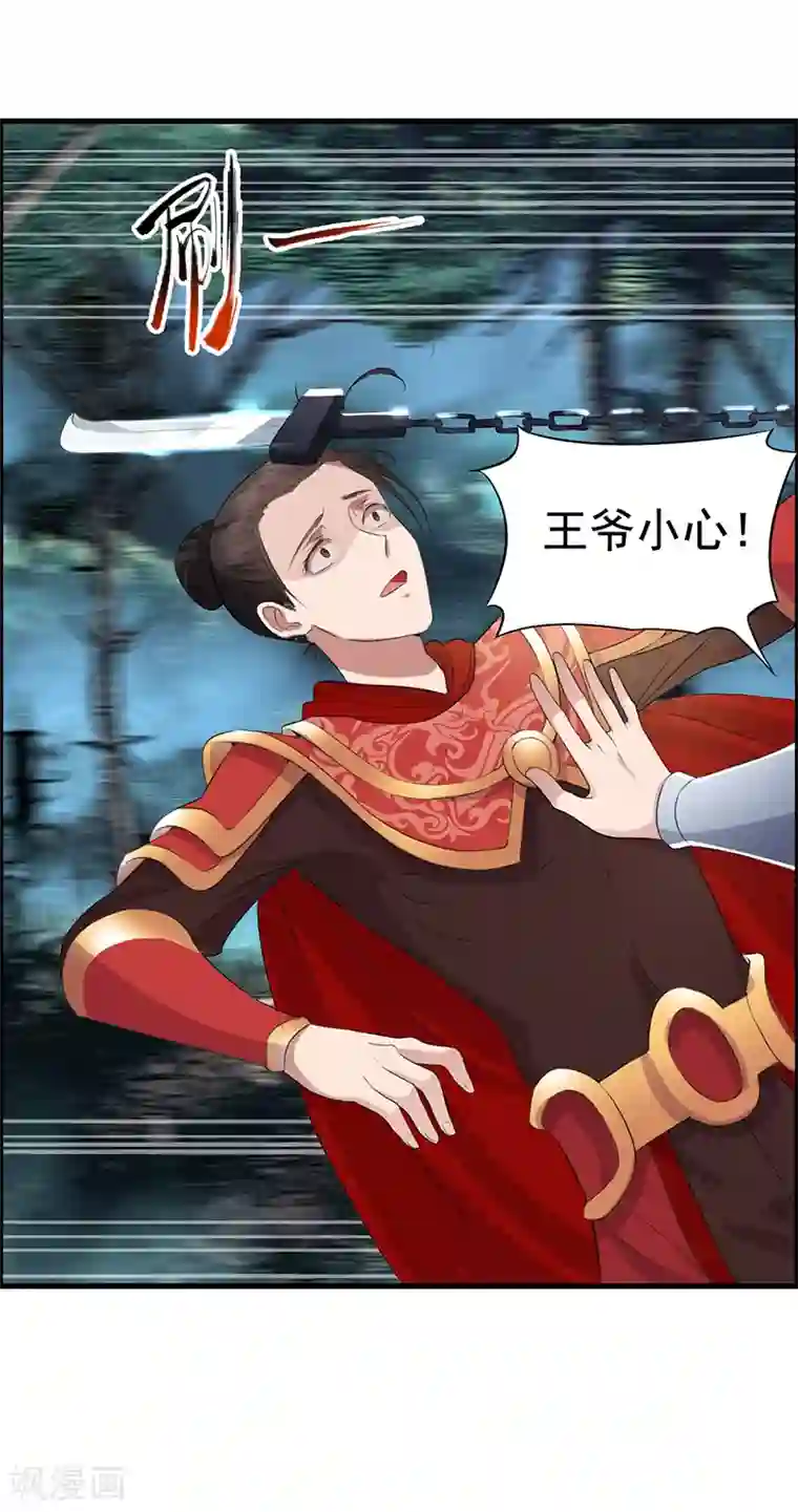 狂女重生：纨绔七皇妃第175话 最后一次效忠