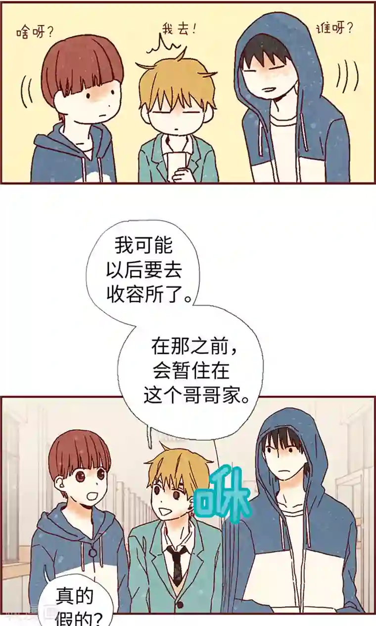 我们站在世界尽头第8话 想去收容所