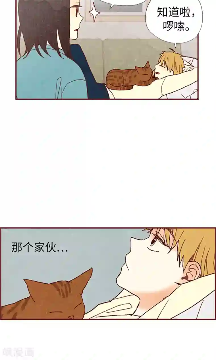 还有空房吗第4集/免费漫画