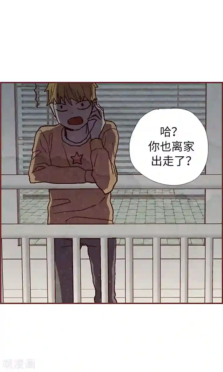还有空房吗第4集/免费漫画