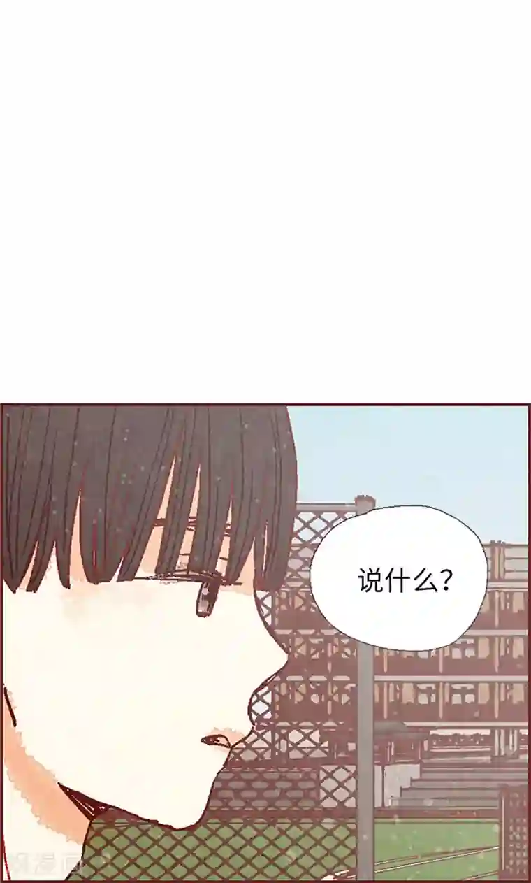 我们站在世界尽头第42话 准备生日派对