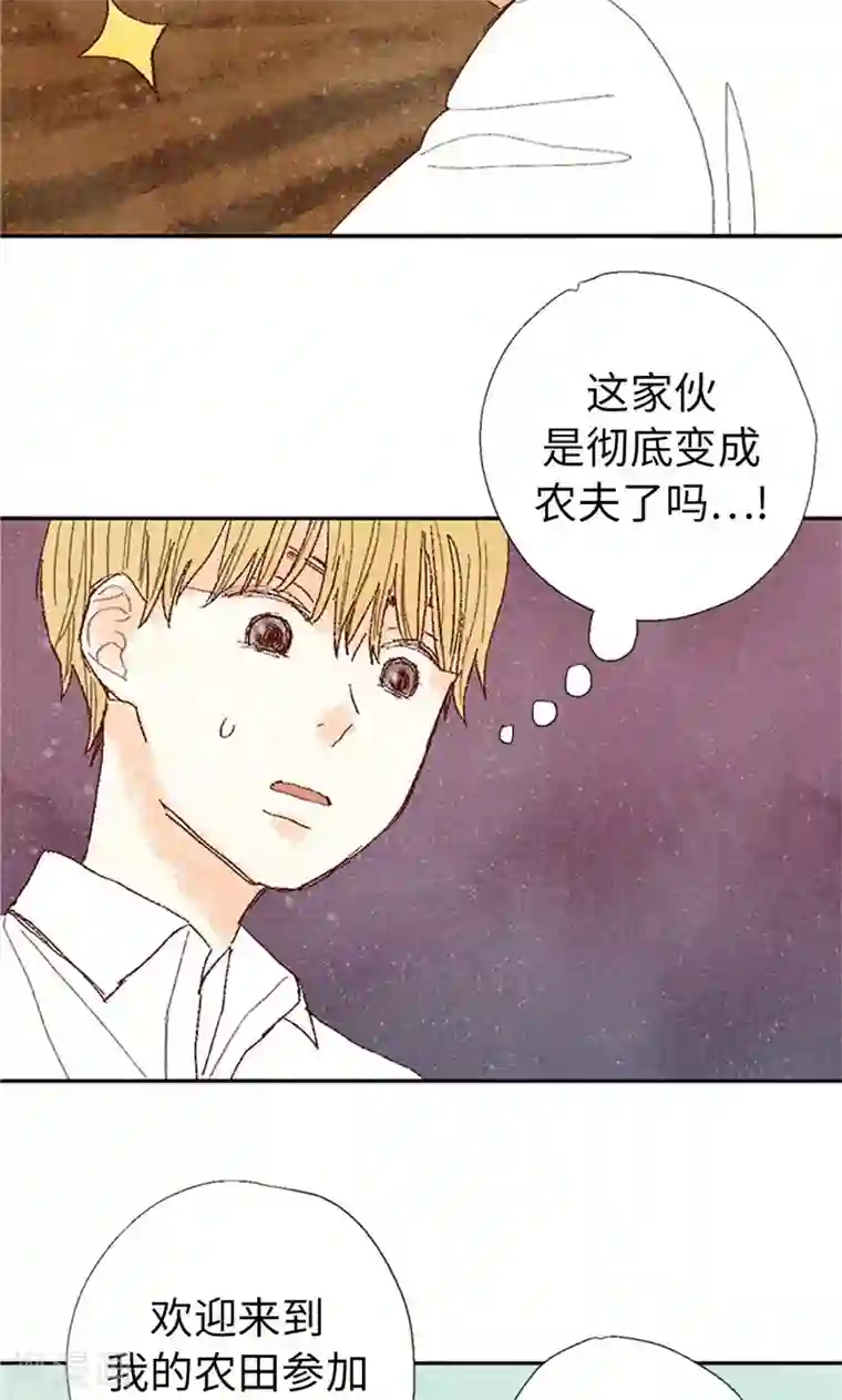 我们站在世界尽头最终话 华丽的绽放