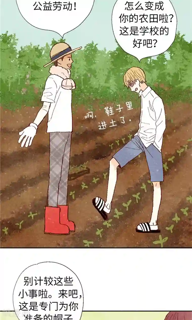 我们站在世界尽头最终话 华丽的绽放