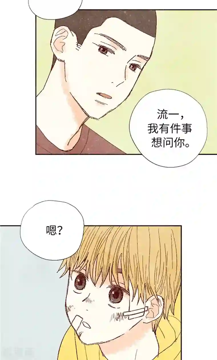 我们站在世界尽头最终话 华丽的绽放