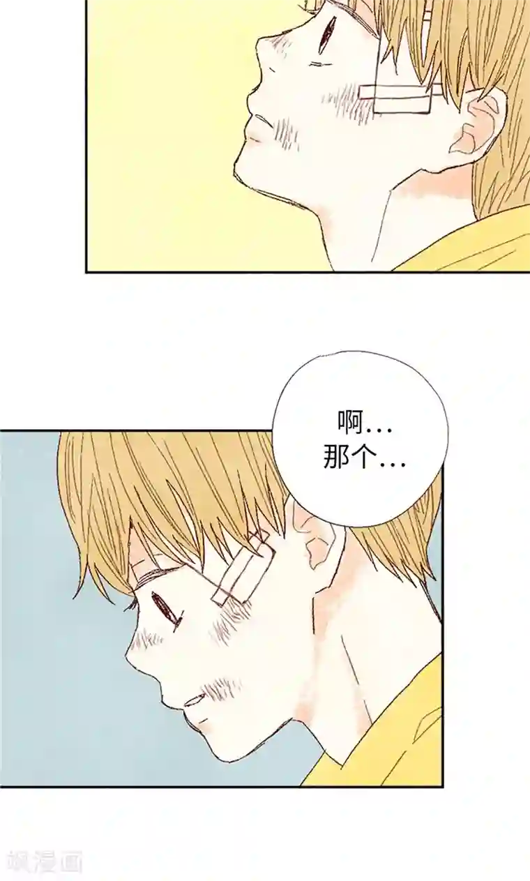 我们站在世界尽头最终话 华丽的绽放