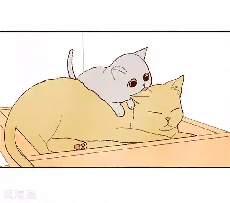 我们站在世界尽头番外17 证明给你看