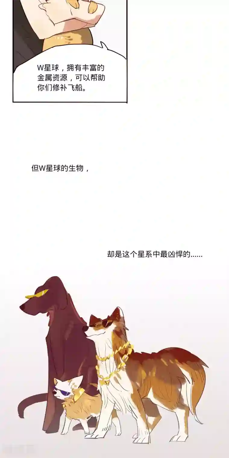 来自地球的你第8话