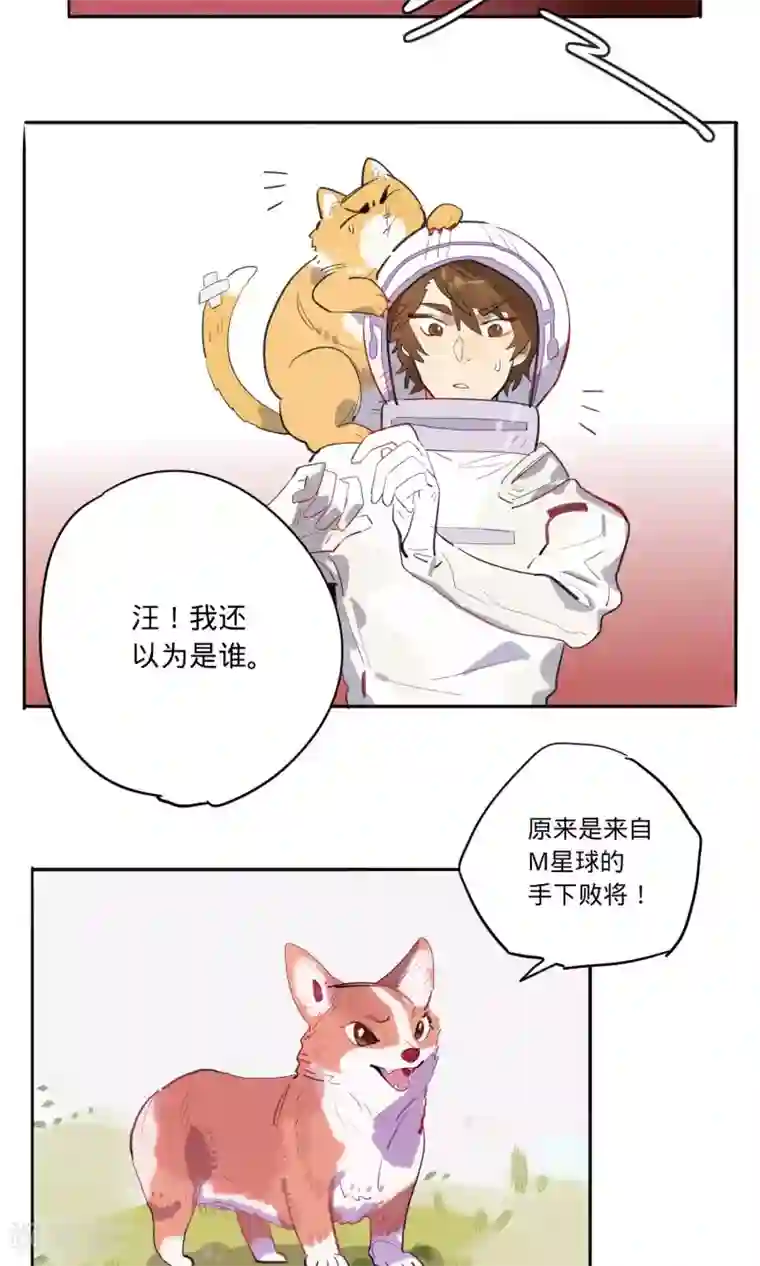 来自地球的你第9话