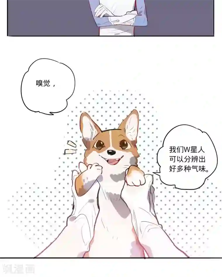 来自地球的你第9话