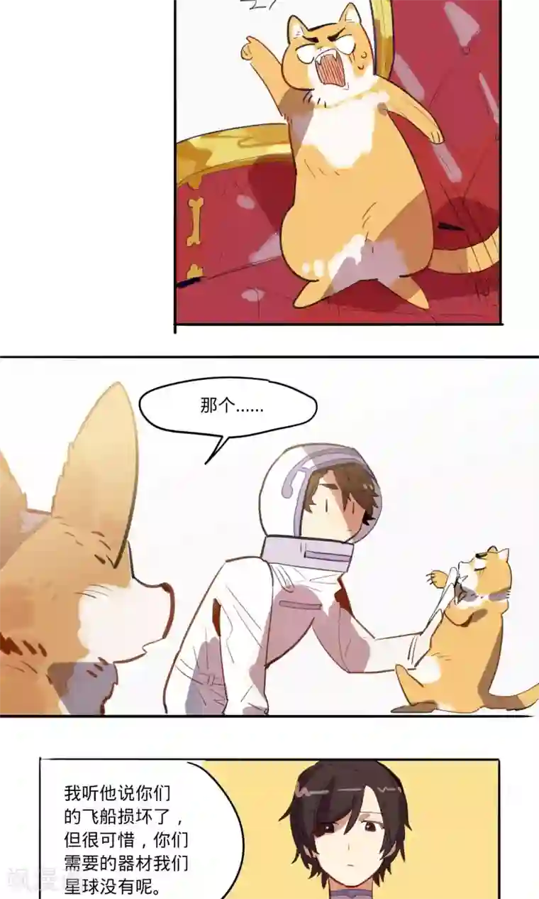 来自地球的你第10话