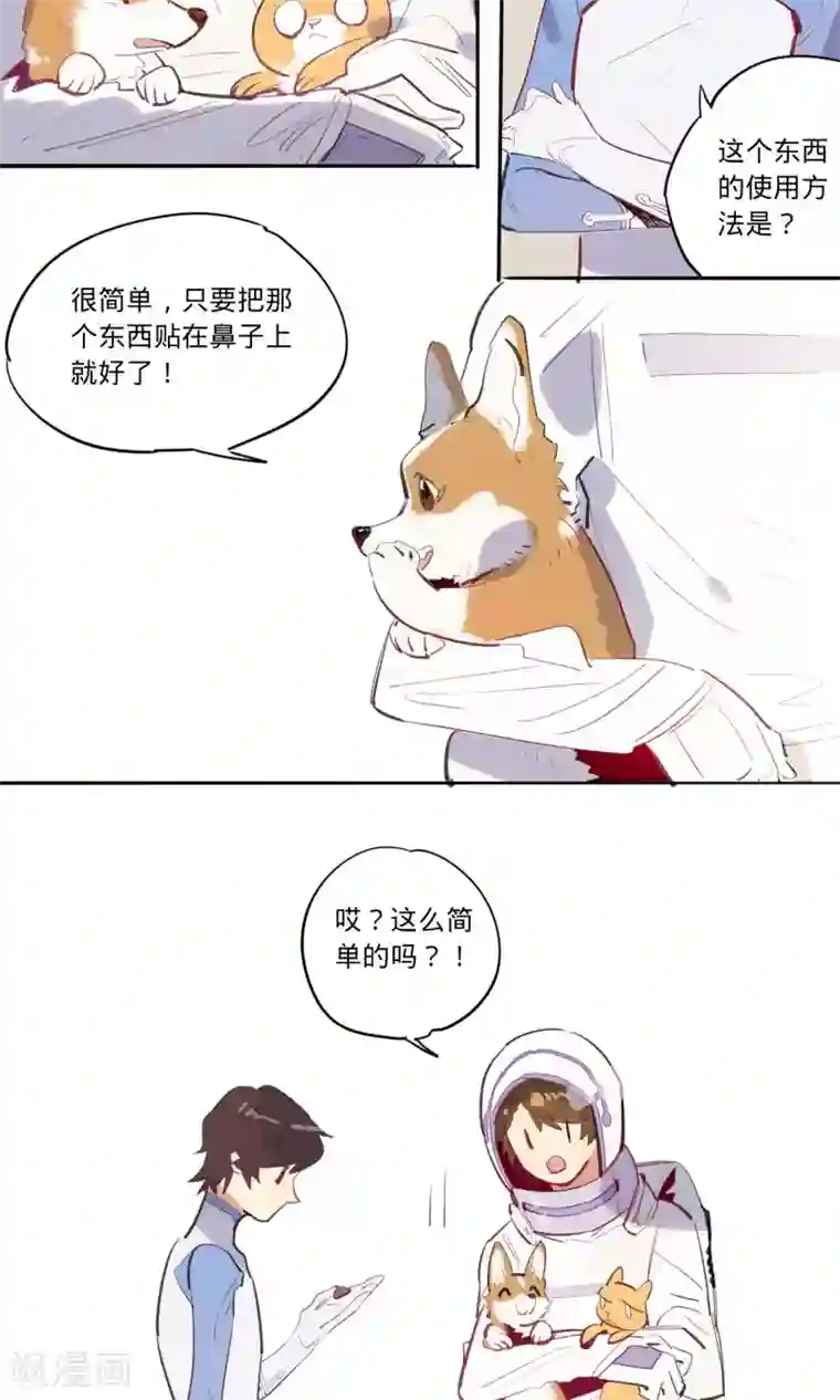 来自地球的你第11话