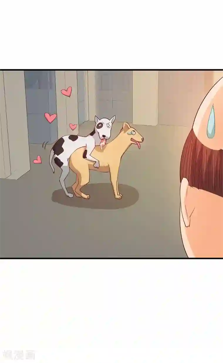 超能工作室第24话