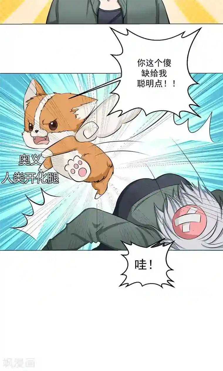 都市猎魔人第7话 奇怪的花纹