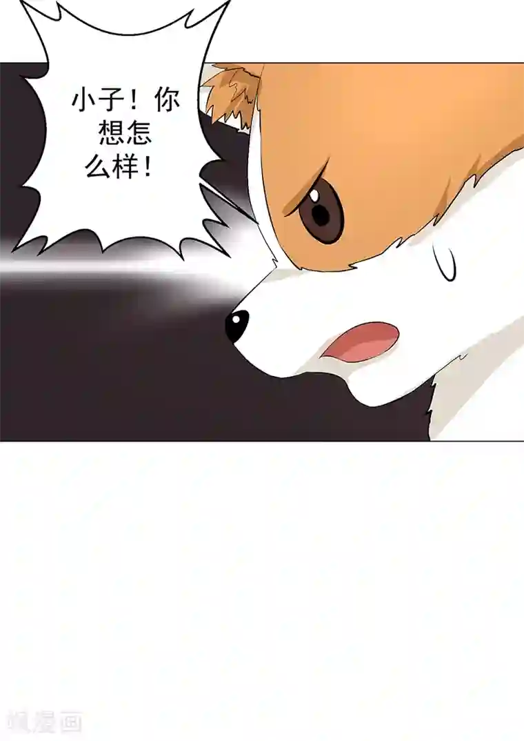 都市猎魔人第12话 正式加入