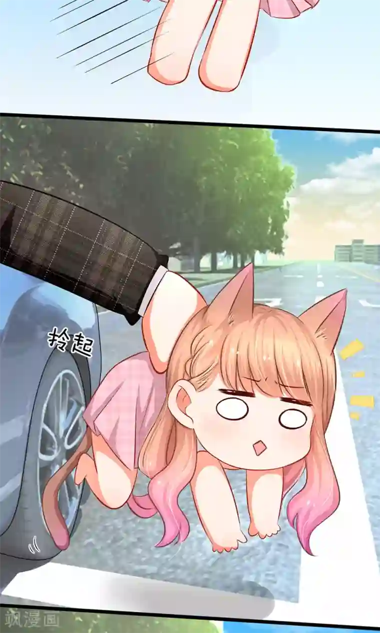 陆少的甜心公主第6话 未婚妻出场！