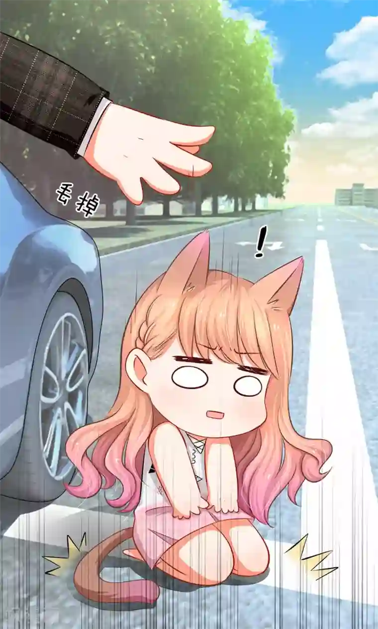 陆少的甜心公主第6话 未婚妻出场！