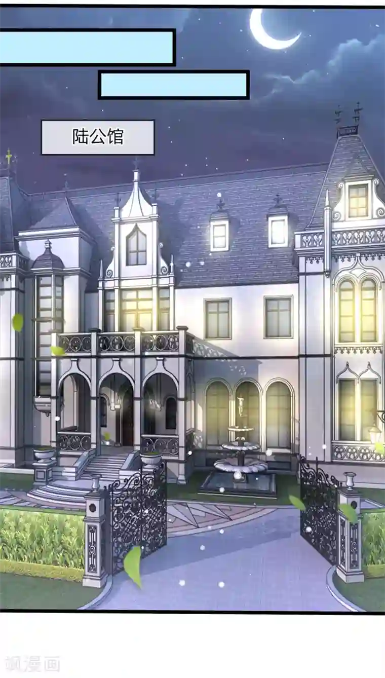 陆少的甜心公主第78话 母亲的笔记