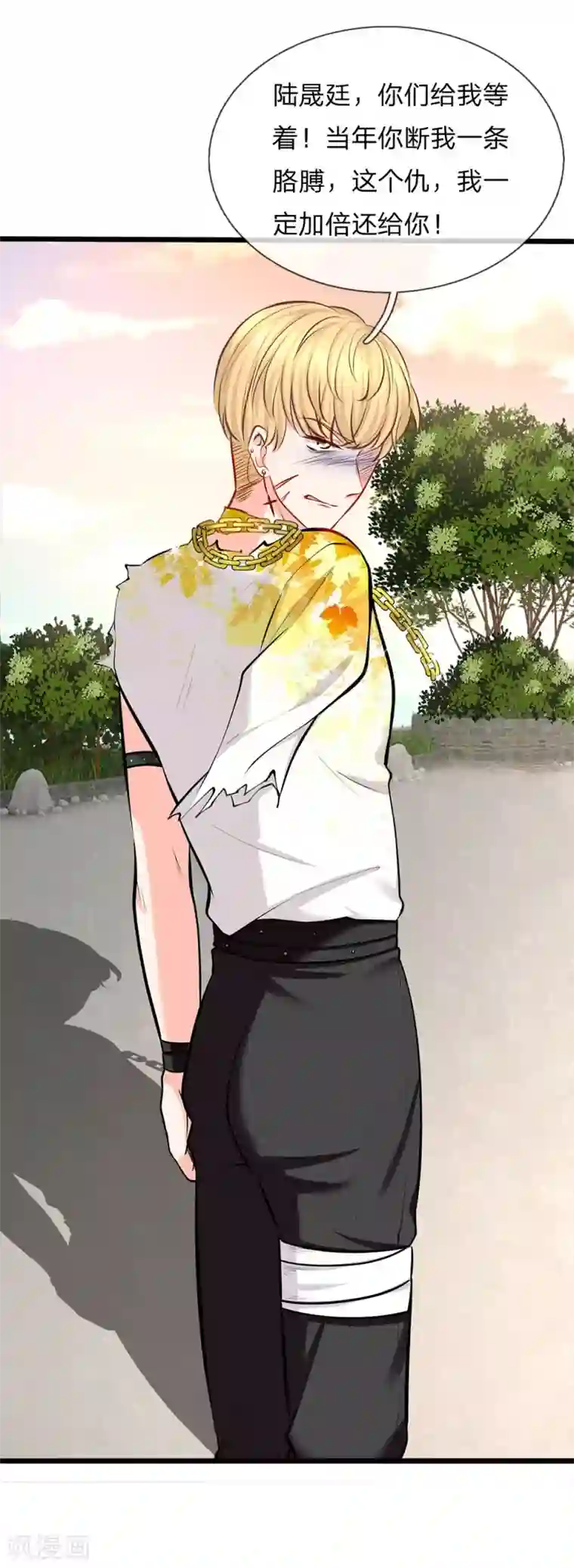 陆少的甜心公主第93话 特战队员秦郁