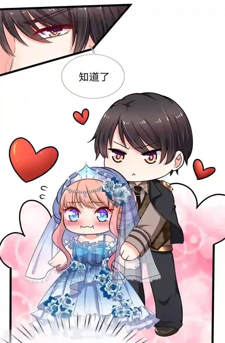 陆少的甜心公主第103话 嫁给我，好吗