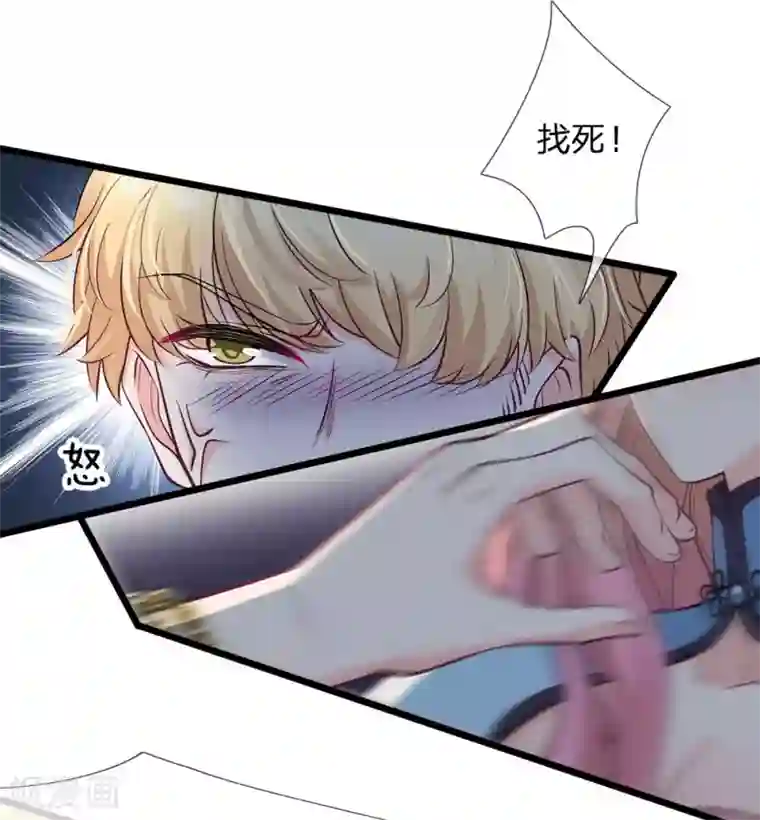 陆少的甜心公主第110话 动她就是找死