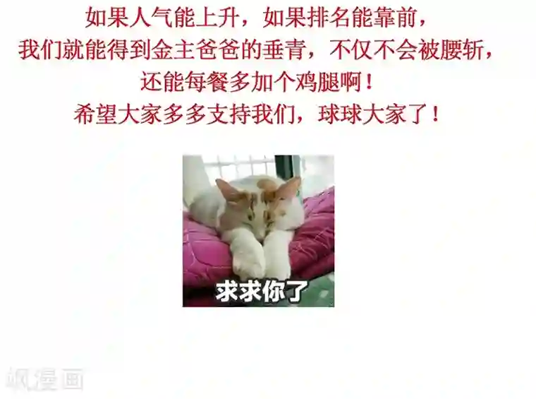 打雷少女第42话 我成了炮灰女配？！