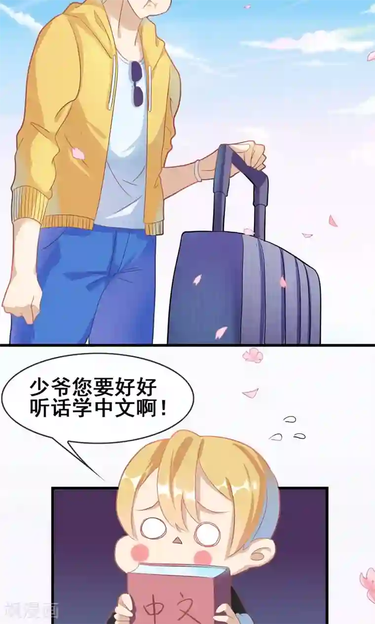 佛系师傅兽系徒预告