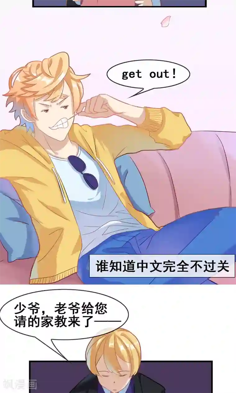 佛系师傅兽系徒预告