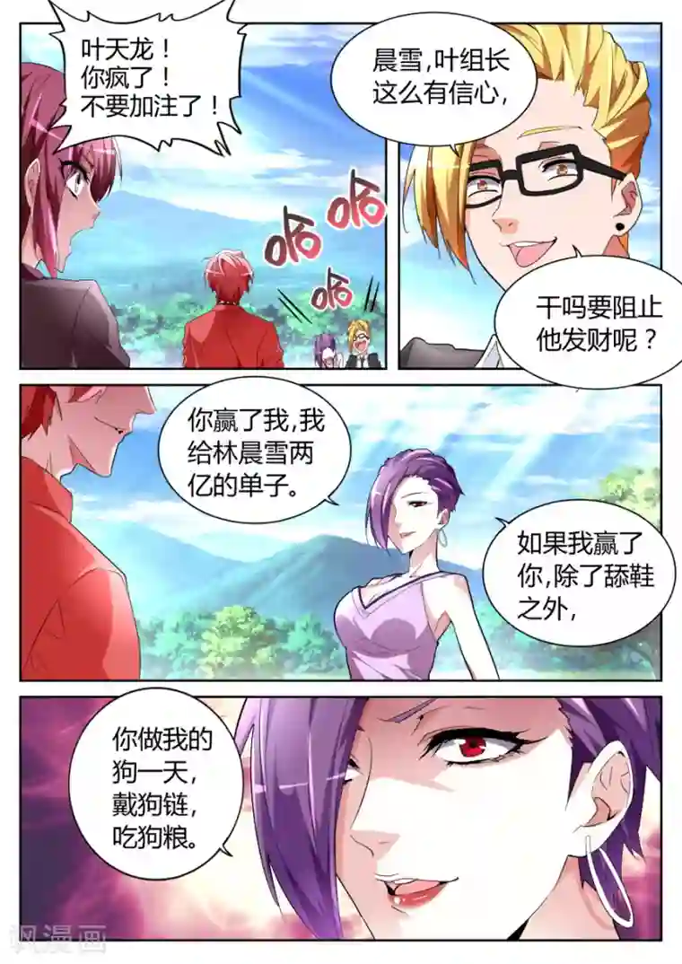 天才高手第62话 天龙归位