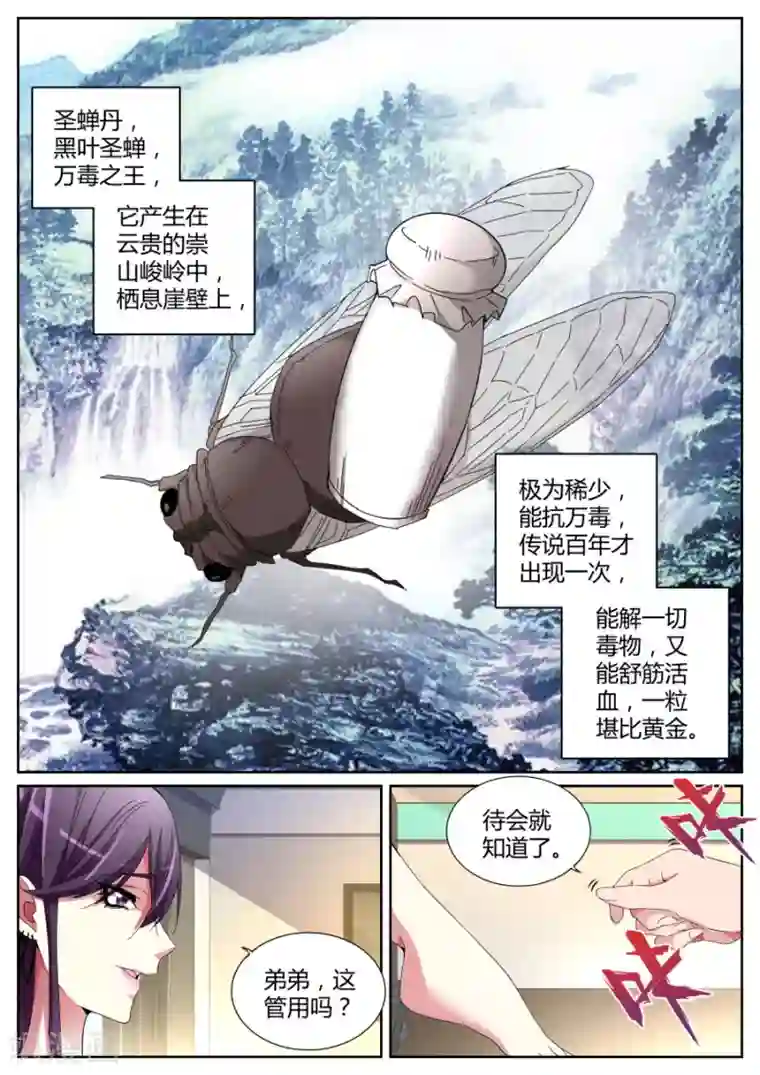 天才高手第118话 沈天媚