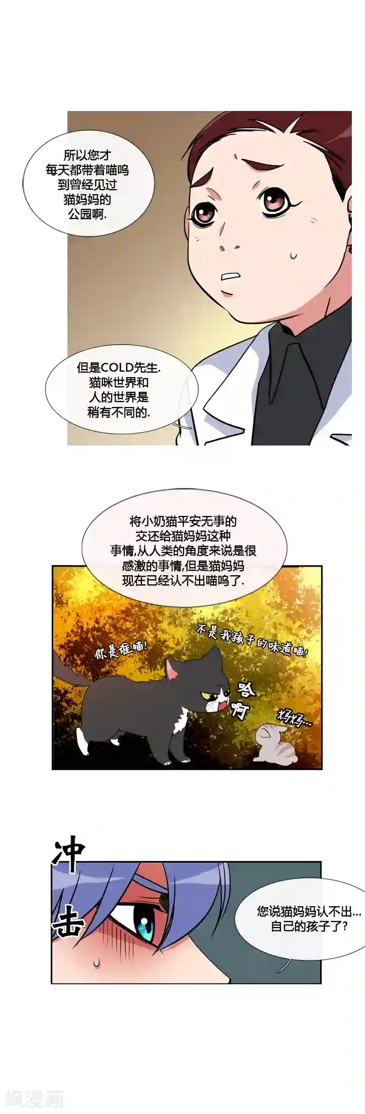 ICE-Cold要员的捡猫事件第15话