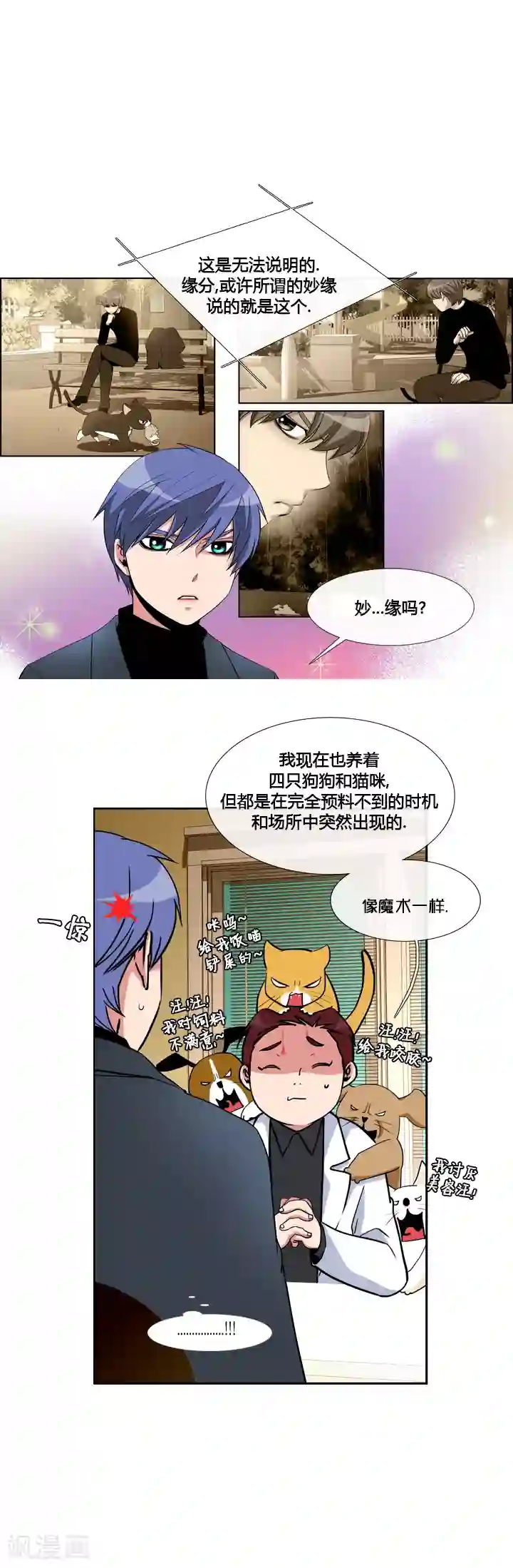 ICE-Cold要员的捡猫事件第15话