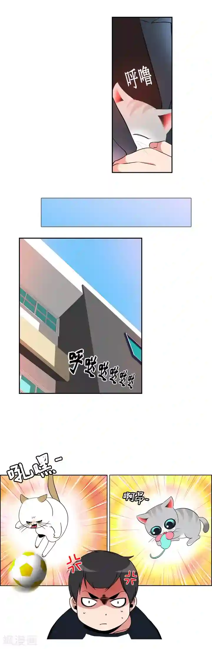 ICE-Cold要员的捡猫事件第15话