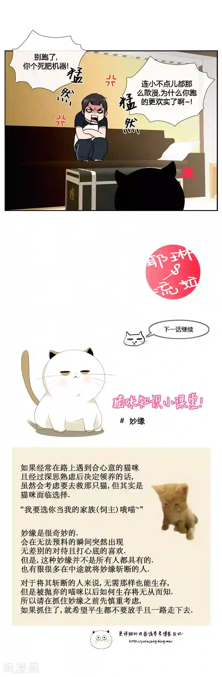 ICE-Cold要员的捡猫事件第15话