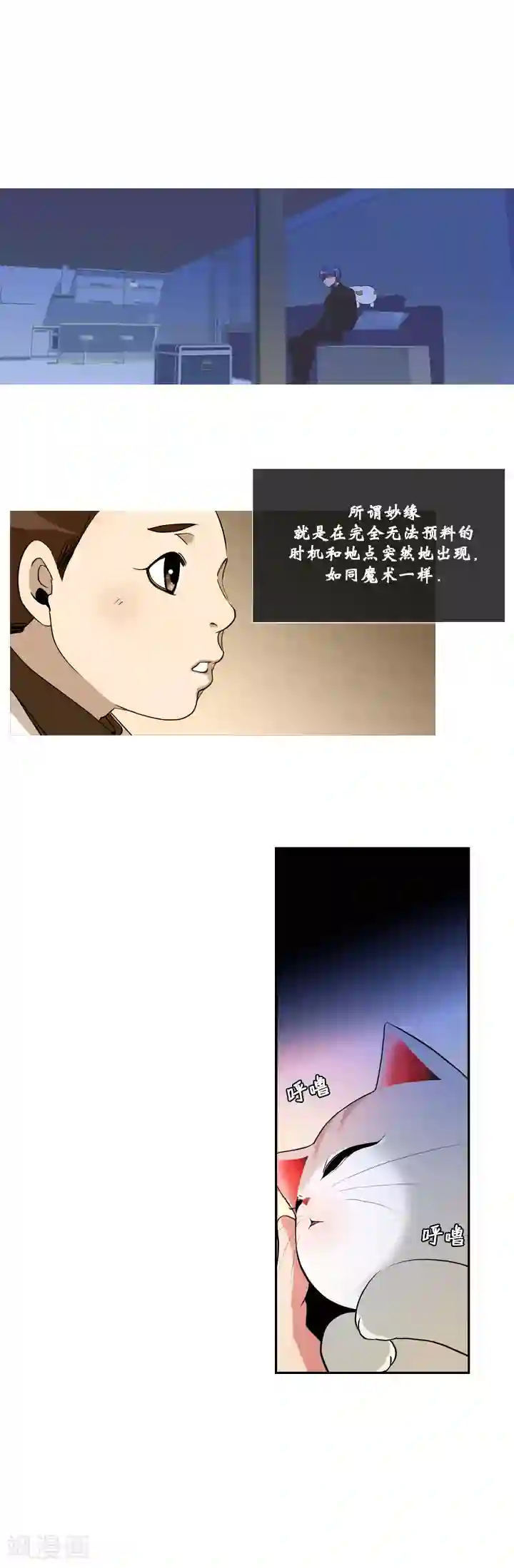 ICE-Cold要员的捡猫事件第16话