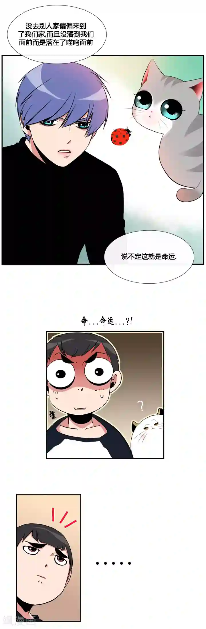ICE-Cold要员的捡猫事件第17话