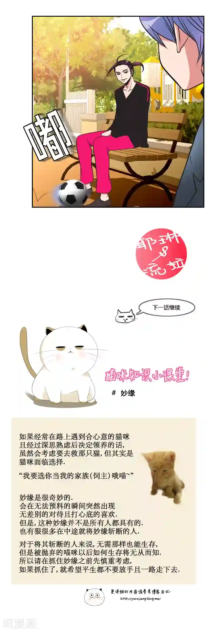 ICE-Cold要员的捡猫事件第17话