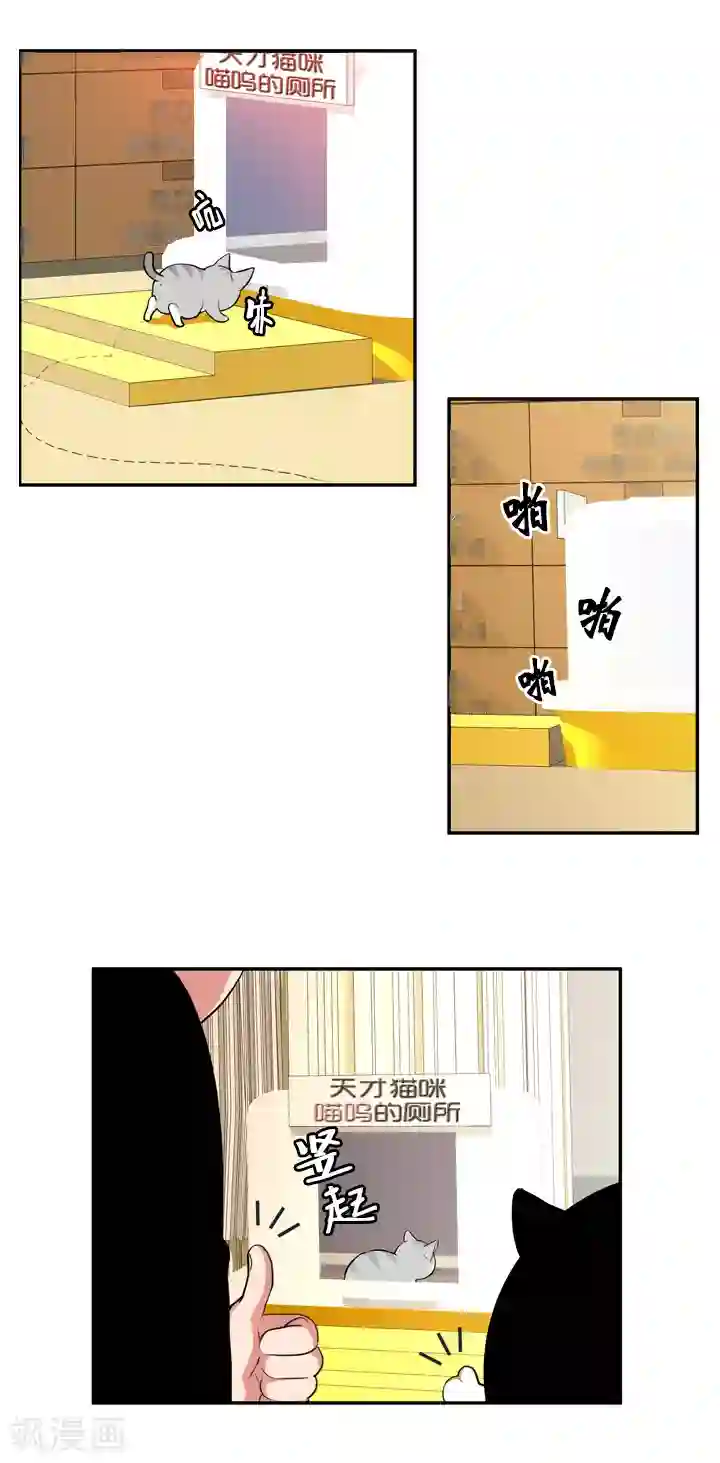 国产真人漫画明星ps图片