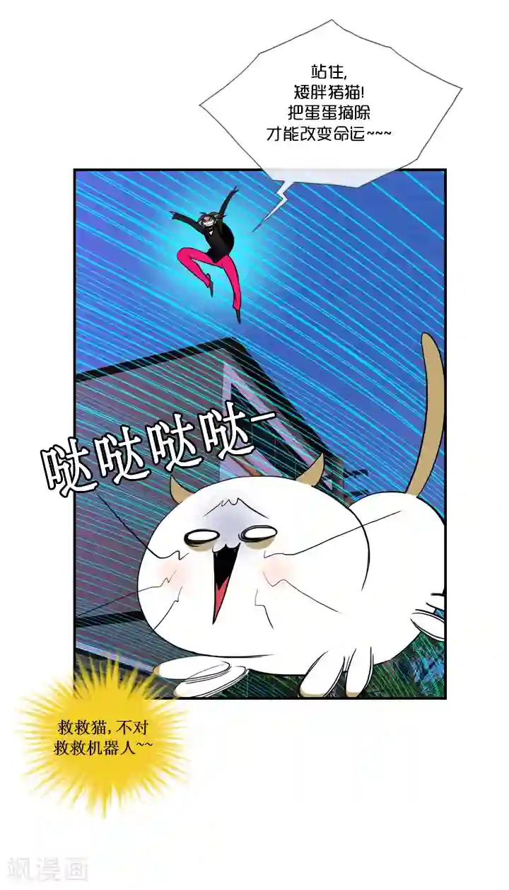 ICE-Cold要员的捡猫事件第28话