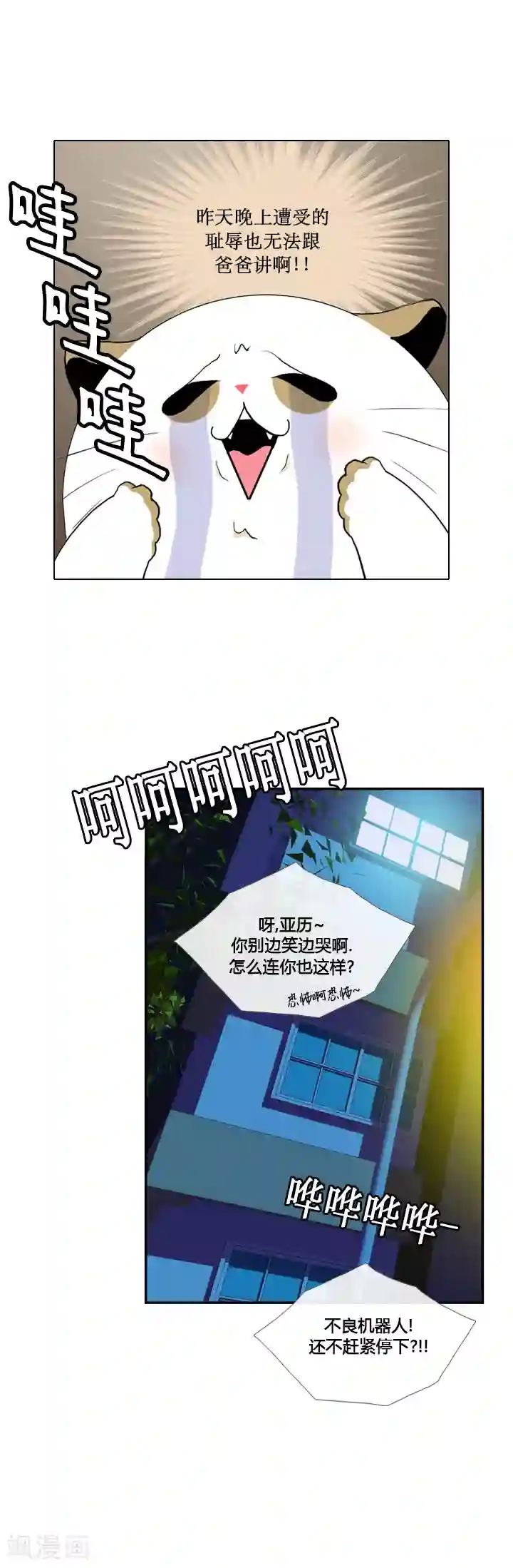 ICE-Cold要员的捡猫事件第28话