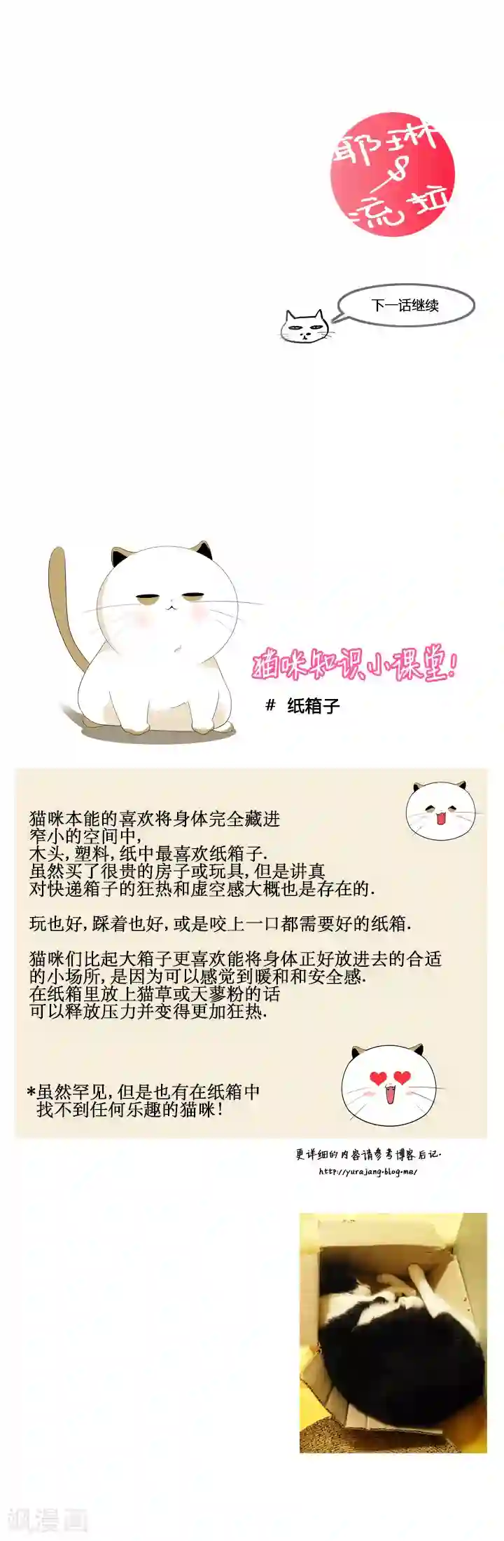 ICE-Cold要员的捡猫事件第29话