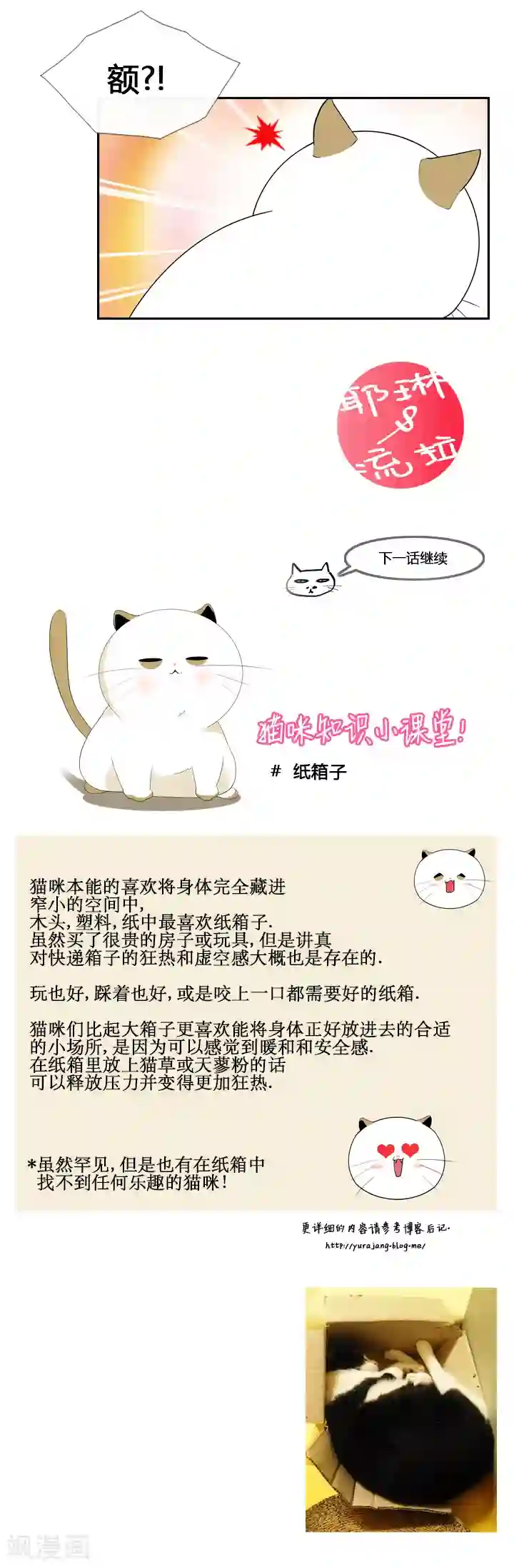 ICE-Cold要员的捡猫事件第30话