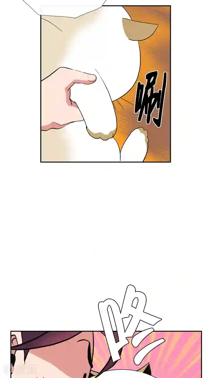 ICE-Cold要员的捡猫事件第31话