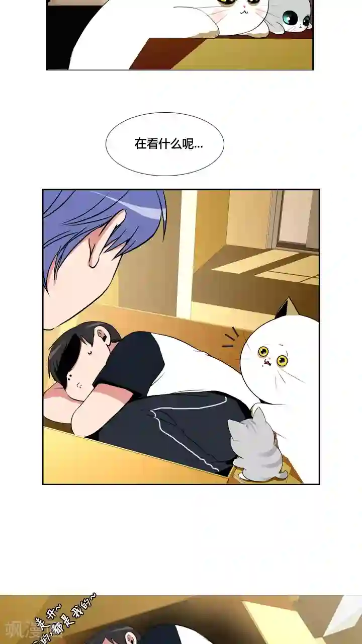 ICE-Cold要员的捡猫事件第31话