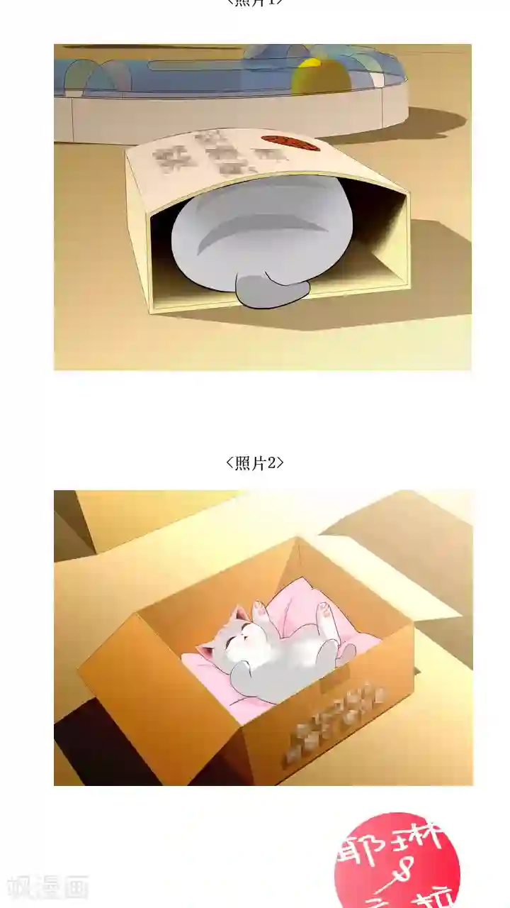 ICE-Cold要员的捡猫事件第31话