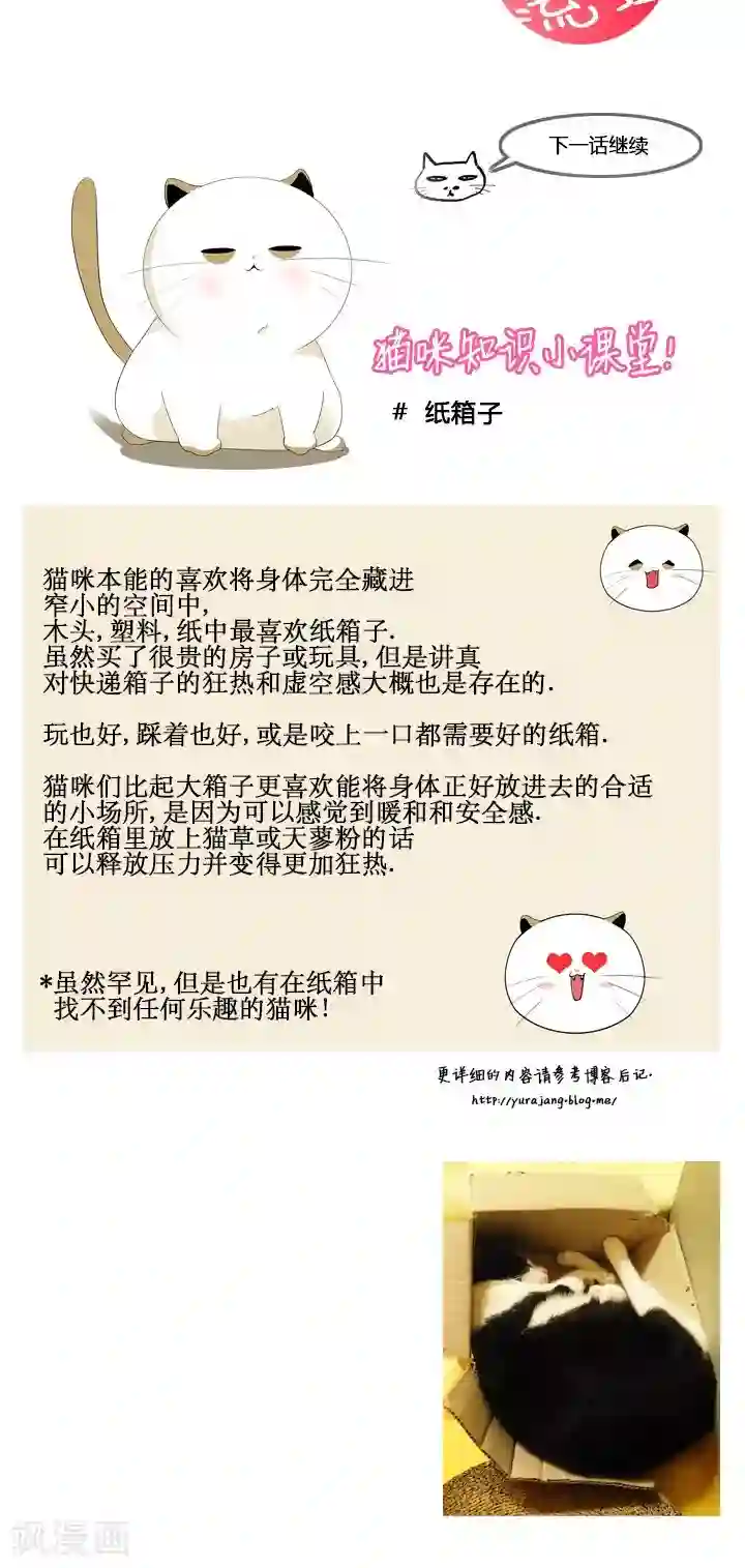 ICE-Cold要员的捡猫事件第31话