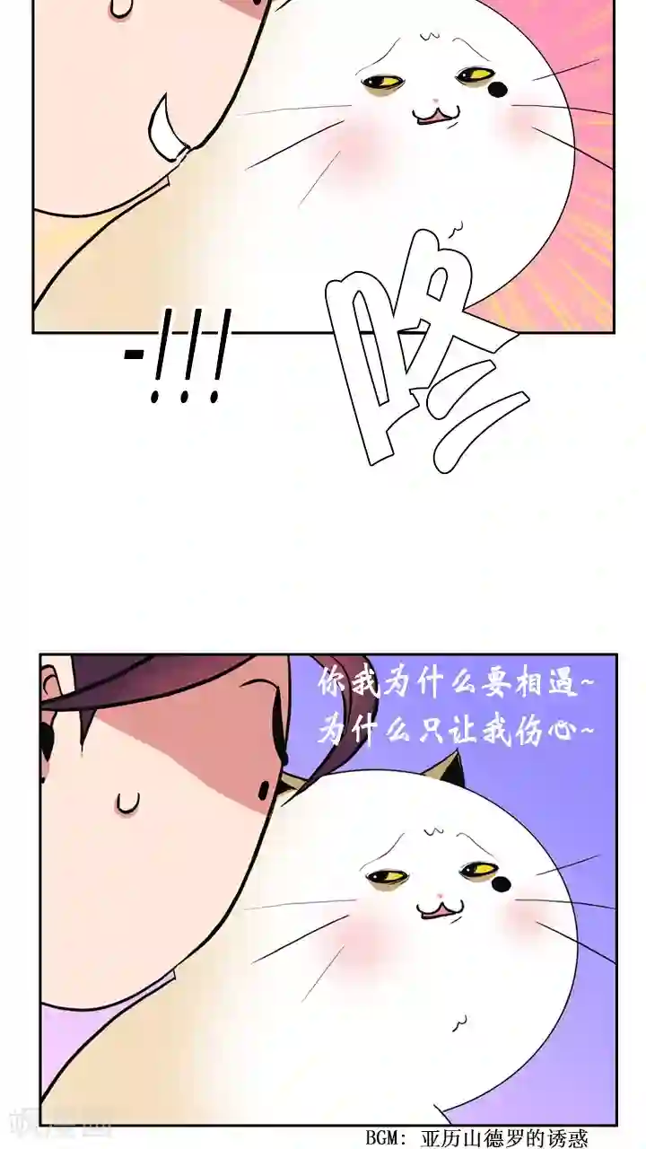 ICE-Cold要员的捡猫事件第31话